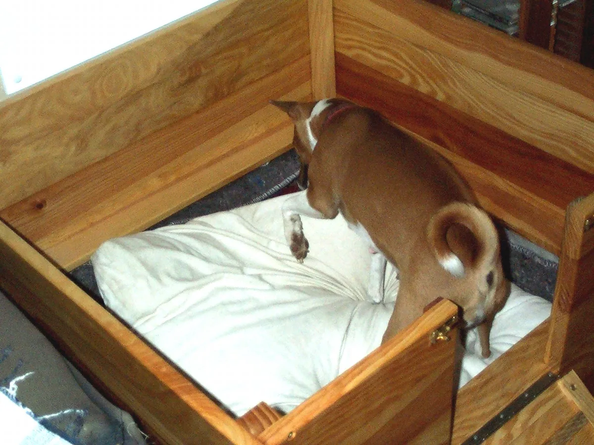 Een teef staat in een houten werpkist en kijkt naar een pasgeboren pup op een wit kleed.